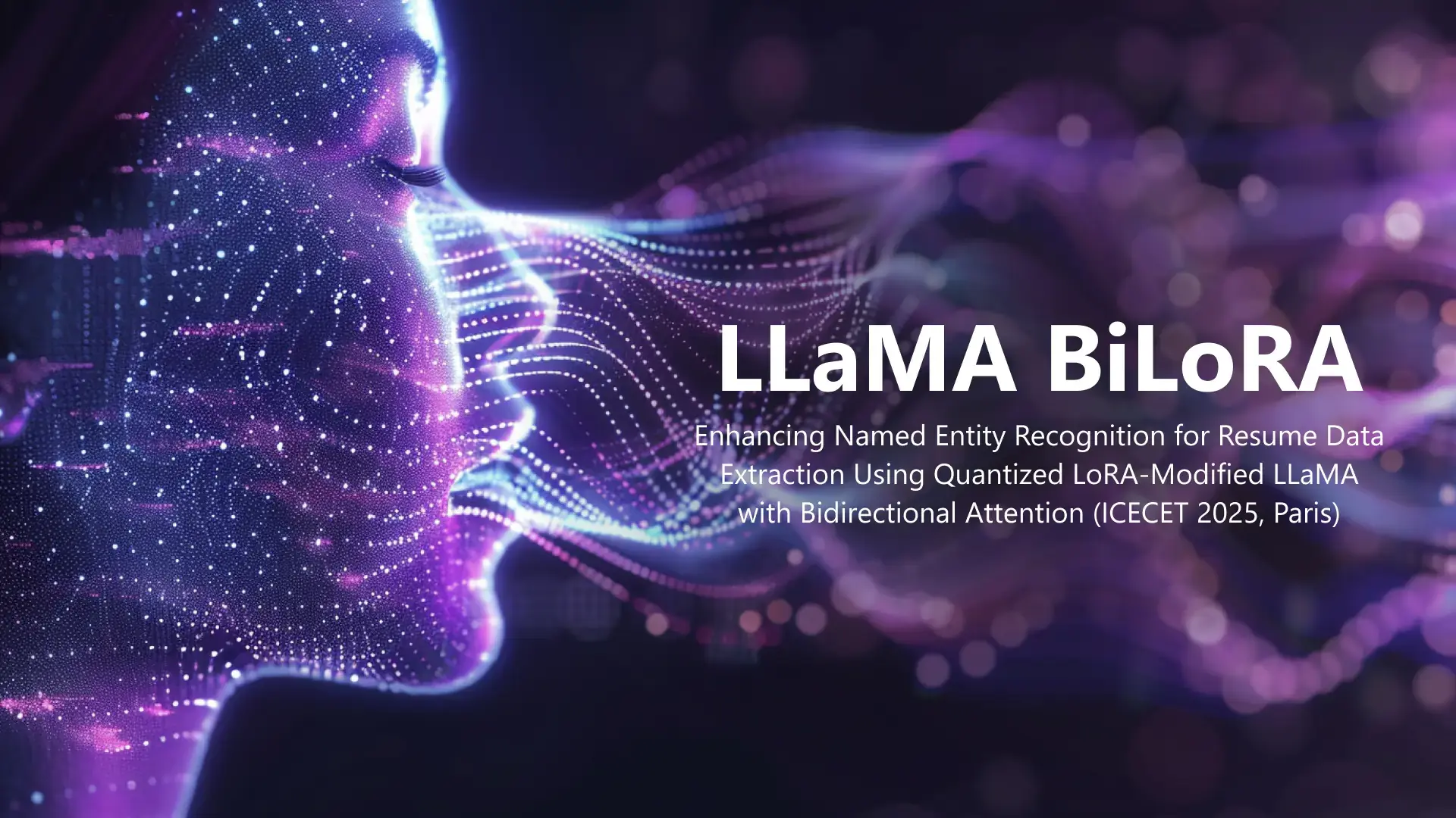 LLaMa-BiLoRA